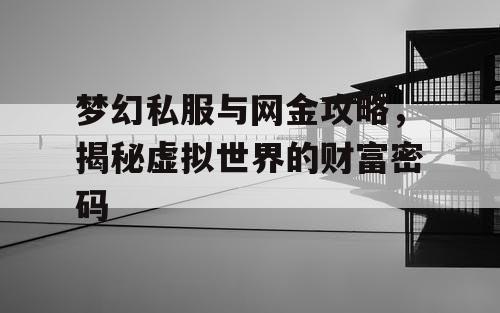 梦幻私服与网金攻略，揭秘虚拟世界的财富密码