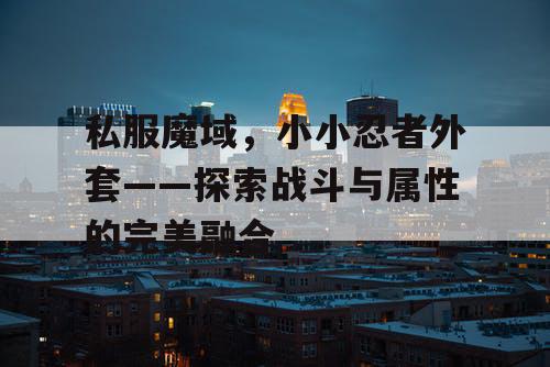 私服魔域,小小忍者外套——探索战斗与属性的完美融合 私服魔域,小小忍者外套——探索战斗与属性的完美融合