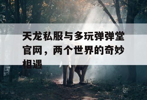 天龙私服与多玩弹弹堂官网，两个世界的奇妙相遇