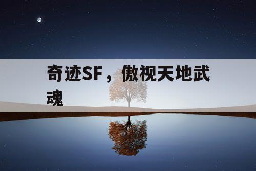 奇迹SF，傲视天地武魂