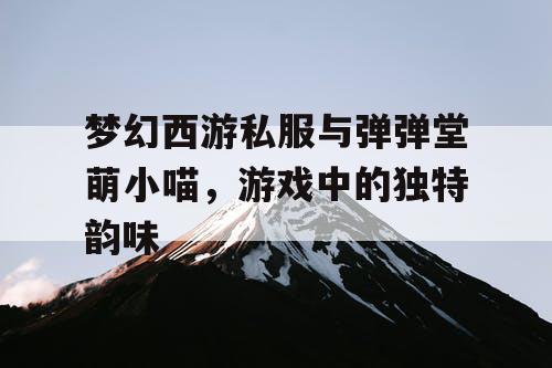 梦幻西游私服与弹弹堂萌小喵,游戏中的独特韵味 梦幻西游私服与弹弹堂萌小喵,游戏中的独特韵味