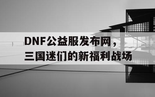 DNF公益服发布网，三国迷们的新福利战场
