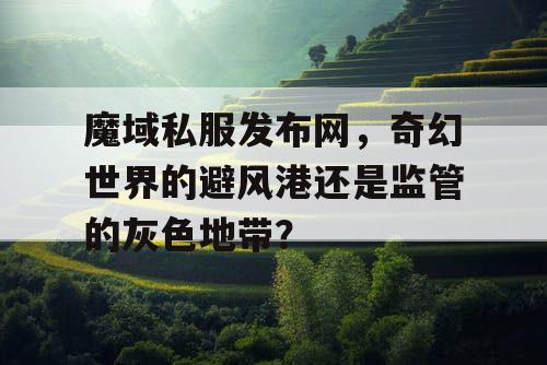 魔域私服发布网，奇幻世界的避风港还是监管的灰色地带？