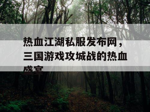 热血江湖私服发布网，三国游戏攻城战的热血盛宴
