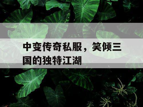 中变传奇私服，笑倾三国的独特江湖