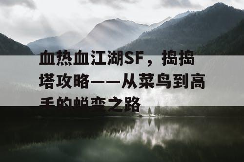 血热血江湖SF，捣捣塔攻略——从菜鸟到高手的蜕变之路