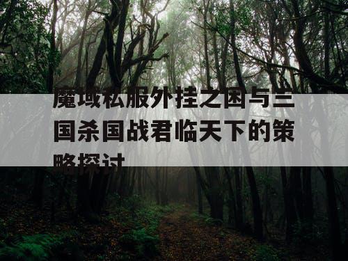 魔域私服外挂之困与三国杀国战君临天下的策略探讨