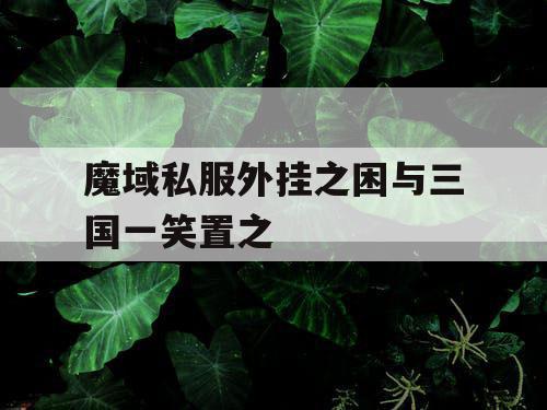 魔域私服外挂之困与三国一笑置之 魔域私服外挂之困与三国一笑置之