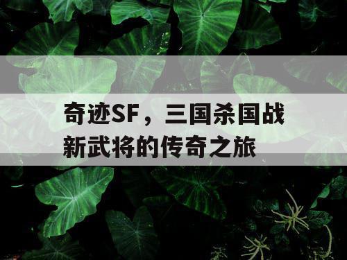 奇迹SF，三国杀国战新武将的传奇之旅