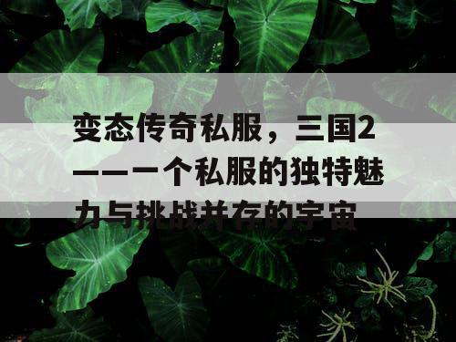变态传奇私服，三国2——一个私服的独特魅力与挑战并存的宇宙