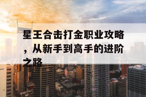 星王合击打金职业攻略，从新手到高手的进阶之路