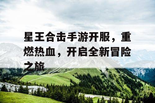 星王合击手游开服，重燃热血，开启全新冒险之旅