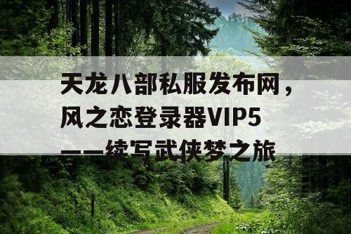 天龙八部私服发布网，风之恋登录器VIP5——续写武侠梦之旅