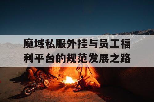 魔域私服外挂与员工福利平台的规范发展之路
