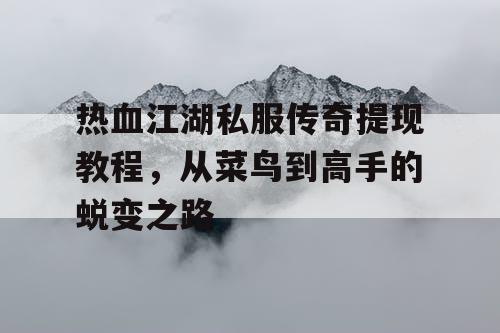 热血江湖私服传奇提现教程，从菜鸟到高手的蜕变之路