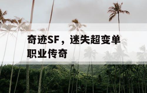 奇迹SF，迷失超变单职业传奇