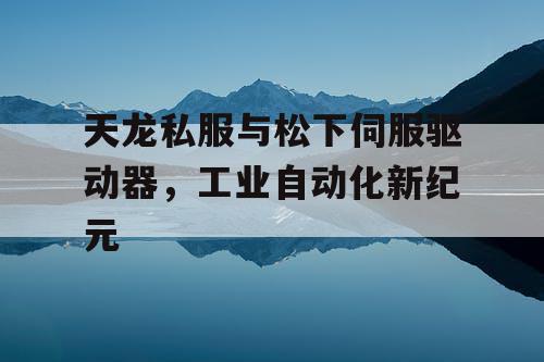 天龙私服与松下伺服驱动器，工业自动化新纪元