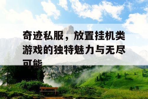 奇迹私服，放置挂机类游戏的独特魅力与无尽可能