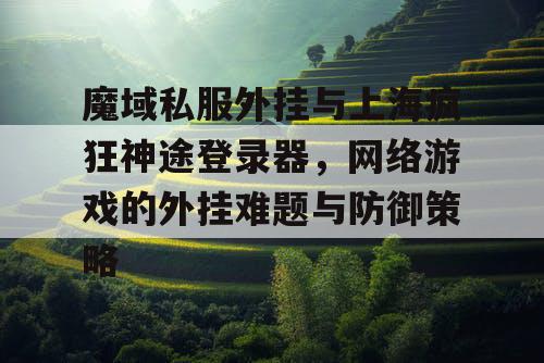 魔域私服外挂与上海疯狂神途登录器，网络游戏的外挂难题与防御策略