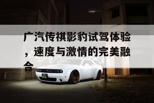 广汽传祺影豹试驾体验，速度与激情的完美融合