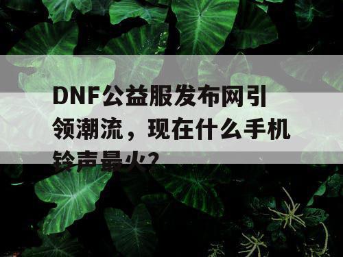 DNF公益服发布网引领潮流，现在什么手机铃声最火？