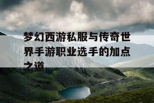 梦幻西游私服与传奇世界手游职业选手的加点之道
