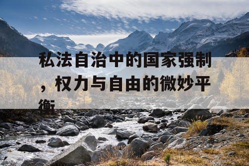 私法自治中的国家强制，权力与自由的微妙平衡