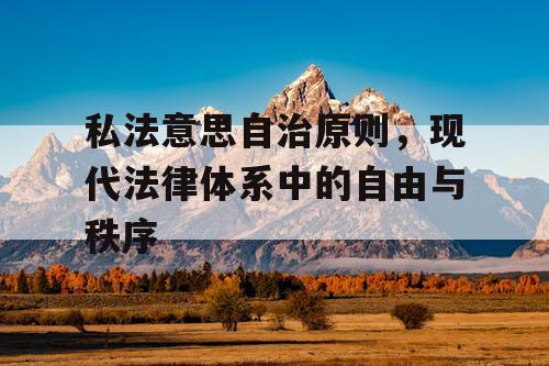 私法意思自治原则，现代法律体系中的自由与秩序