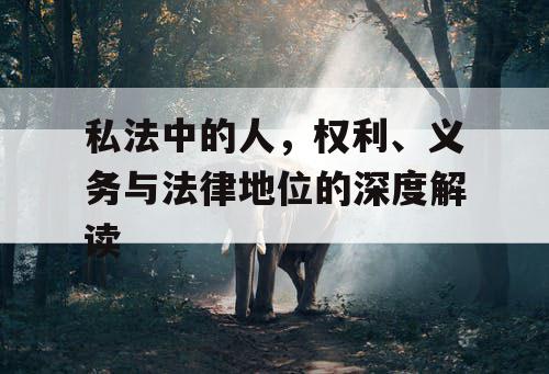 私法中的人，权利、义务与法律地位的深度解读