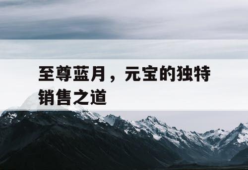 至尊蓝月，元宝的独特销售之道