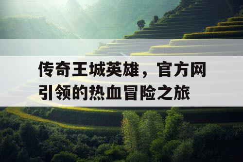 传奇王城英雄，官方网引领的热血冒险之旅