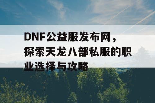 DNF公益服发布网，探索天龙八部私服的职业选择与攻略