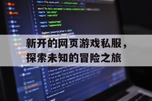 新开的网页游戏私服，探索未知的冒险之旅