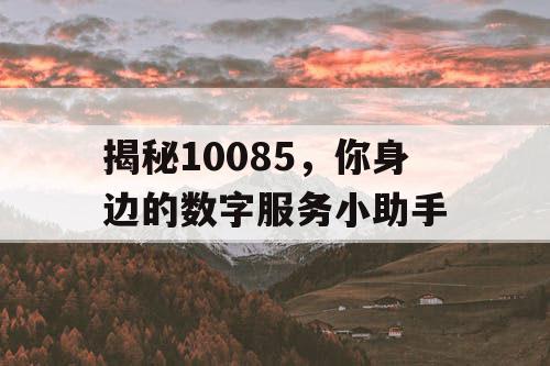 揭秘10085，你身边的数字服务小助手