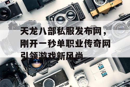 天龙八部私服发布网，刚开一秒单职业传奇网引领游戏新风尚
