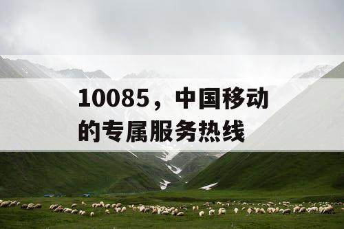 10085，中国移动的专属服务热线