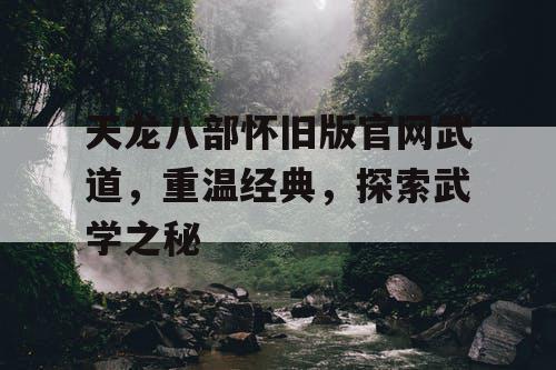 天龙八部怀旧版官网武道，重温经典，探索武学之秘