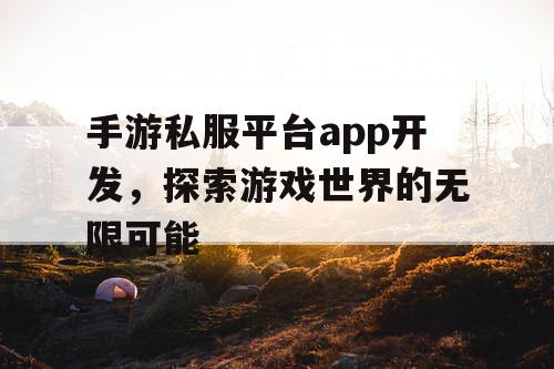 手游私服平台app开发，探索游戏世界的无限可能