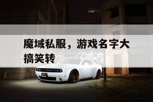 魔域私服，游戏名字大搞笑转