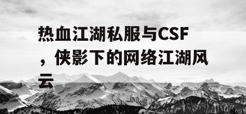 热血江湖私服与CSF，侠影下的网络江湖风云