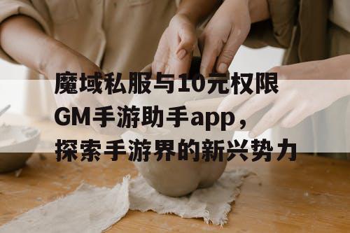 魔域私服与10元权限GM手游助手app，探索手游界的新兴势力