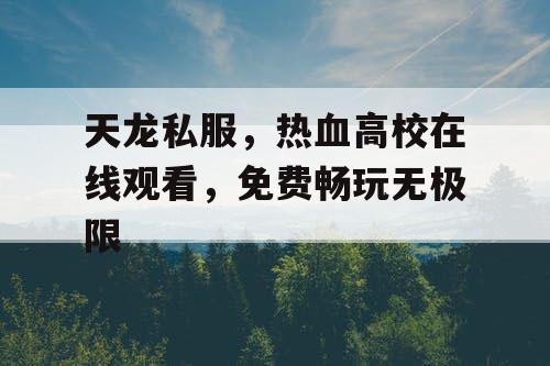 天龙私服，热血高校在线观看，免费畅玩无极限