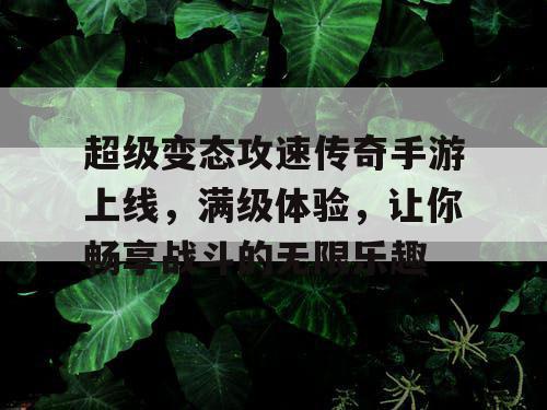 超级变态攻速传奇手游上线，满级体验，让你畅享战斗的无限乐趣