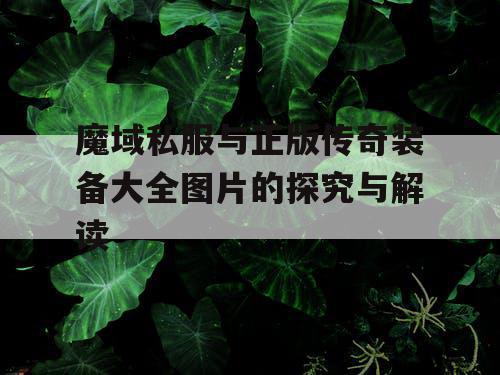 魔域私服与正版传奇装备大全图片的探究与解读