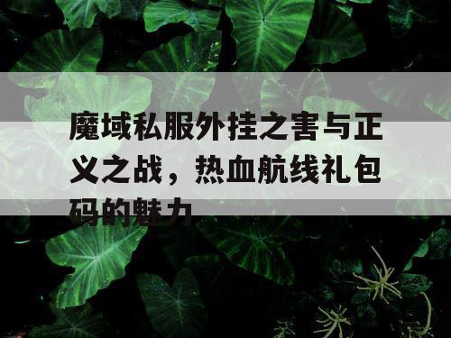 魔域私服外挂之害与正义之战，热血航线礼包码的魅力