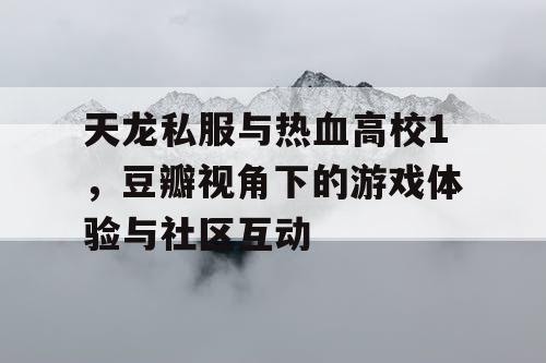 天龙私服与热血高校1，豆瓣视角下的游戏体验与社区互动