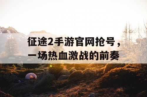 征途2手游官网抢号，一场热血激战的前奏