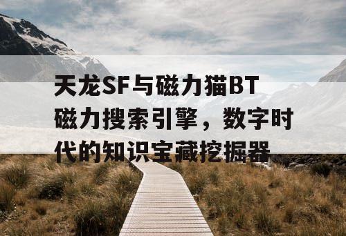 天龙SF与磁力猫BT磁力搜索引擎，数字时代的知识宝藏挖掘器