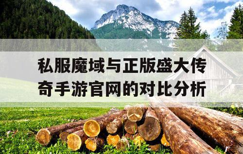 私服魔域与正版盛大传奇手游官网的对比分析