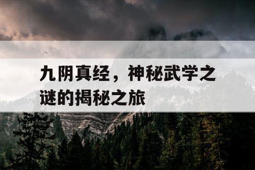 九阴真经，神秘武学之谜的揭秘之旅